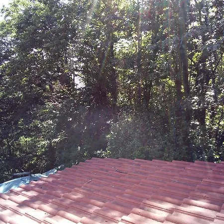 Le Fate Dei Fiori 5* Gambarie dʼAspromonte