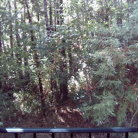 Hotel Le Fate Dei Fiori 5*