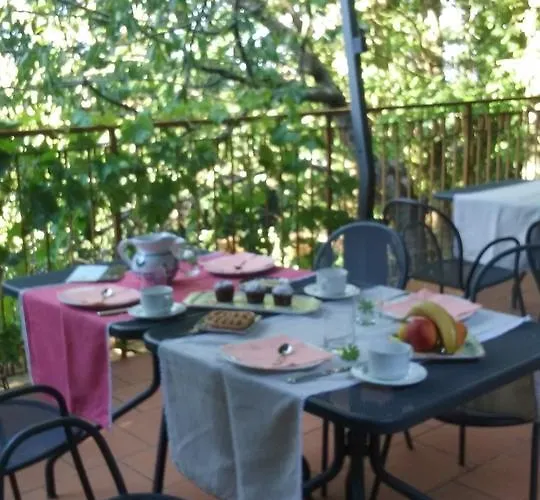 Le Fate Dei Fiori 5*