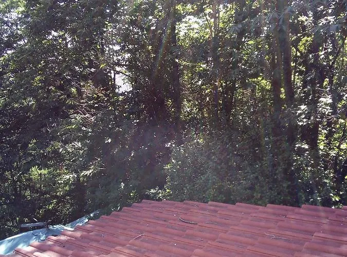 Le Fate Dei Fiori 5* Gambarie dʼAspromonte