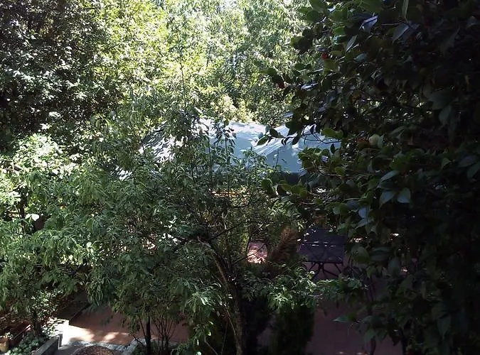 Hotel Le Fate Dei Fiori Gambarie dʼAspromonte