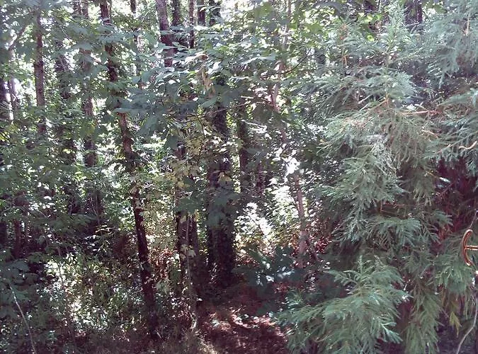 Hotel Le Fate Dei Fiori 5*